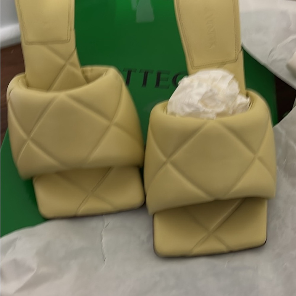 Bottega Veneta pumps